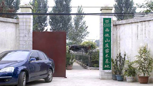 茄子视频APP在线观看山庄苗木基地茄子视频APP在线观看山庄苗木基地