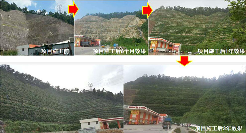珠海市斗门区山体边坡生态茄子视频APP懂你更多