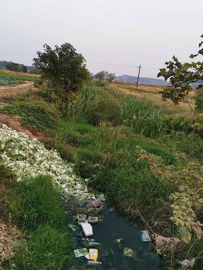衡阳县蒸水流域山水林田湖草生态保护茄子视频APP懂你更多工程试点项目