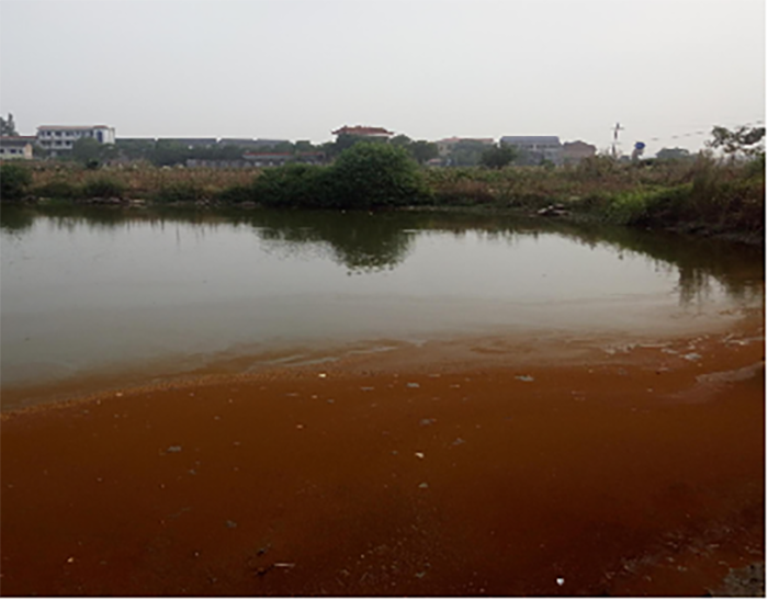 衡阳县蒸水流域山水林田湖草生态保护茄子视频APP懂你更多工程试点项目